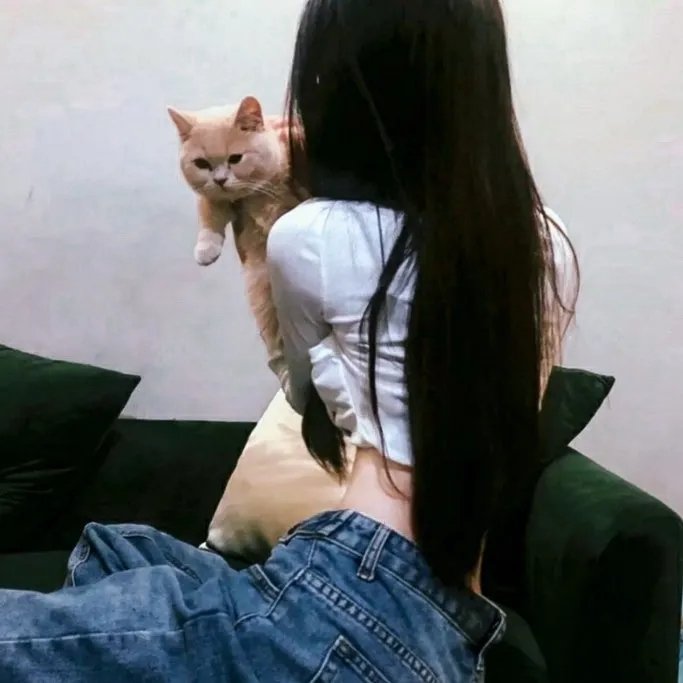 篷车队 在线观看