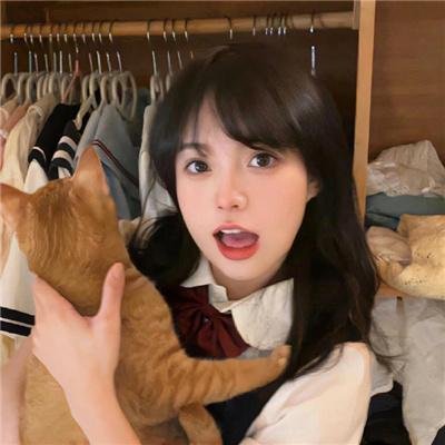 肥猫正传粤语 在线观看
