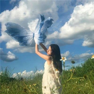 摄影师马丁 在线观看